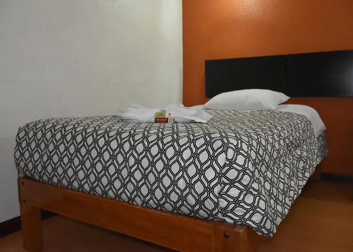 Cedros Cuzco